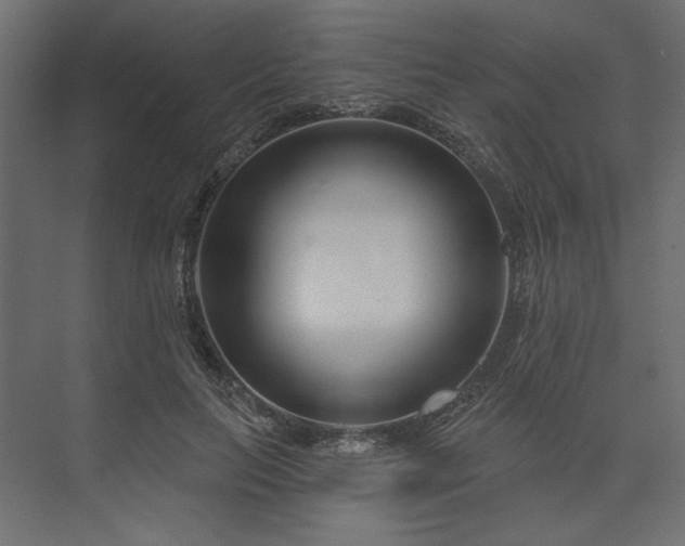 X0000073910647200608251524