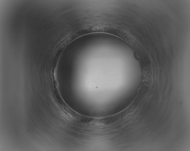 X0000073910648200608251524