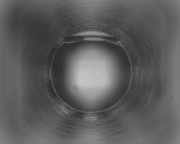 X0000073910653200608251524