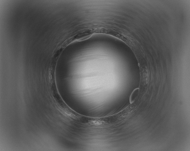 X0000073910654200608251524
