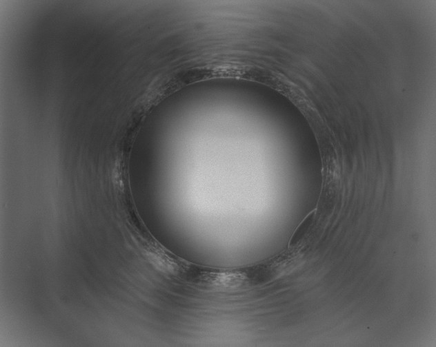 X0000073910663200608251525