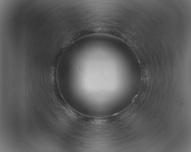 X0000073910664200608251525