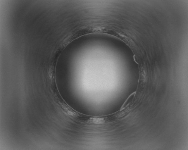 X0000073910665200608251525