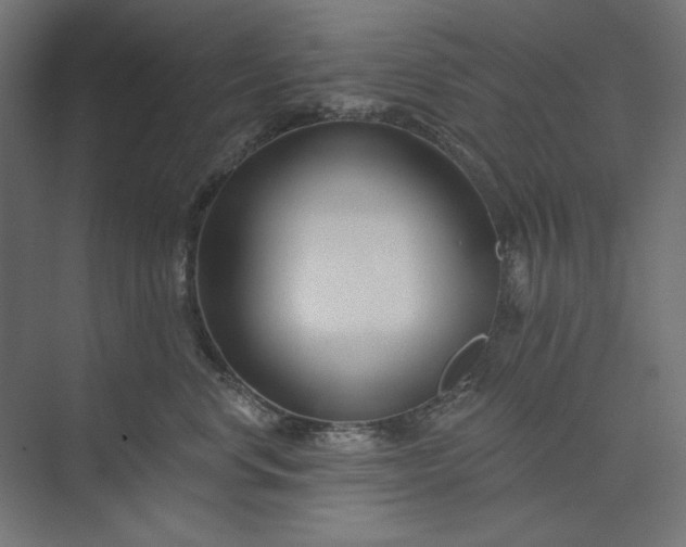 X0000073910668200608251525