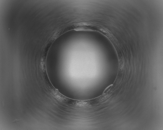X0000073910669200608251525