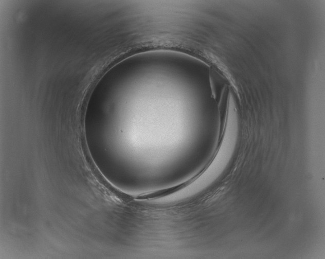 X0000073910673200608251524