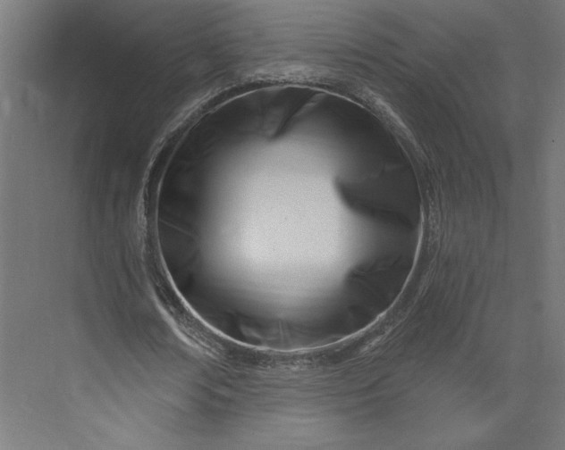 X0000073910674200608251524