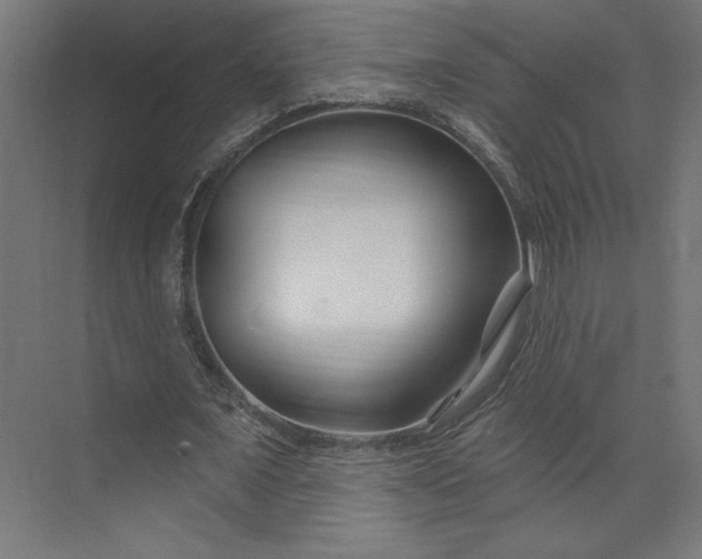 X0000073910675200608251524