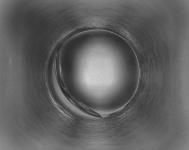 X0000073910677200608251524