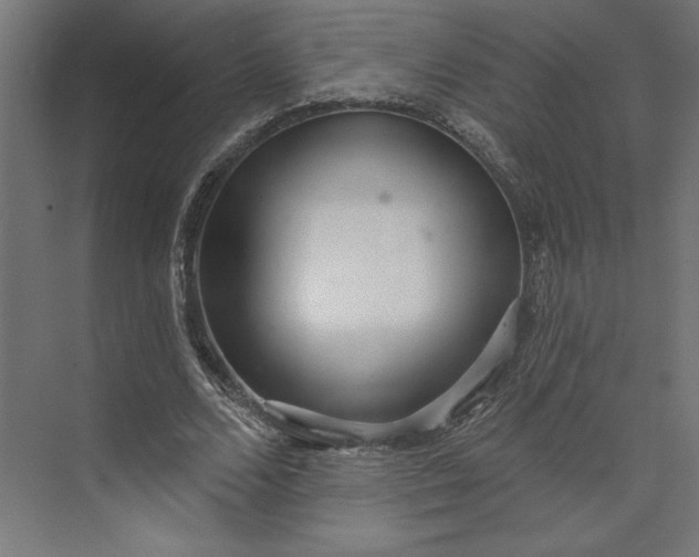 X0000073910680200608251524