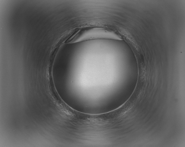 X0000073910681200608251524