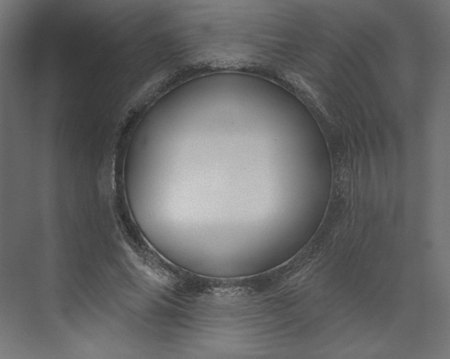X0000073910686200608251524