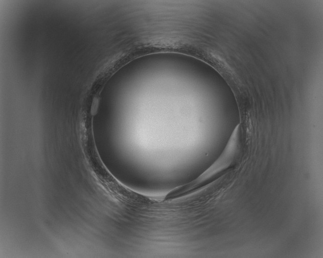 X0000073910688200608251524
