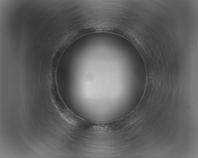 X0000073910690200608251524