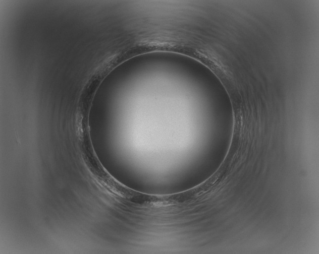 X0000073910692200608251524