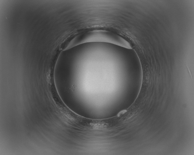 X0000073910693200608251524