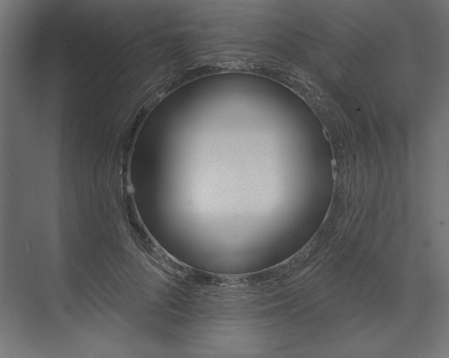X0000073910696200608251524