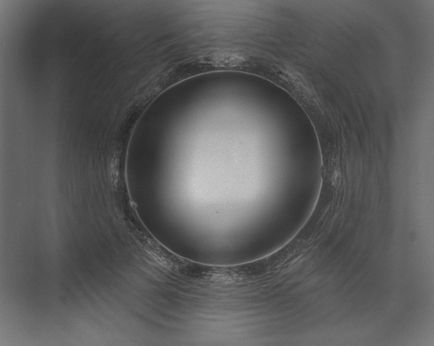 X0000073910697200608251524