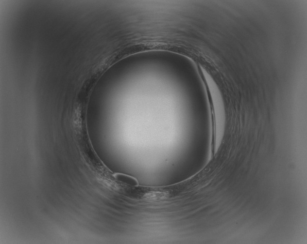 X0000073910700200608251524