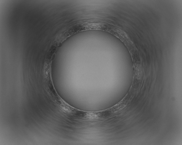 X0000073910701200608251524
