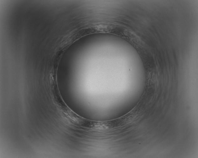 X0000073910702200608251523