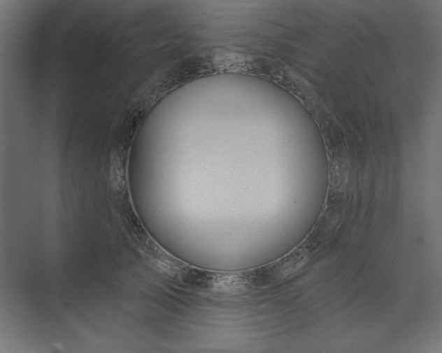 X0000073910705200608251523