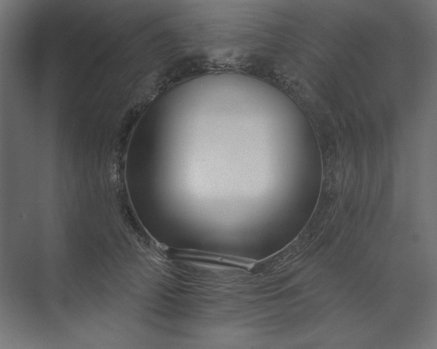 X0000073910706200608251523