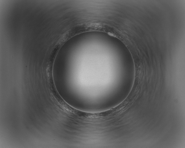 X0000073910708200608251523