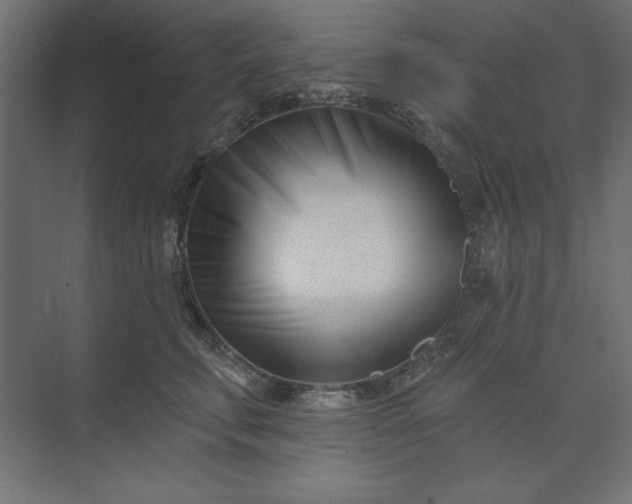 X0000073910711200608251523