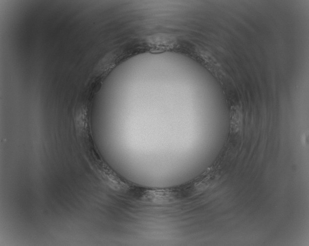 X0000073910713200608251523