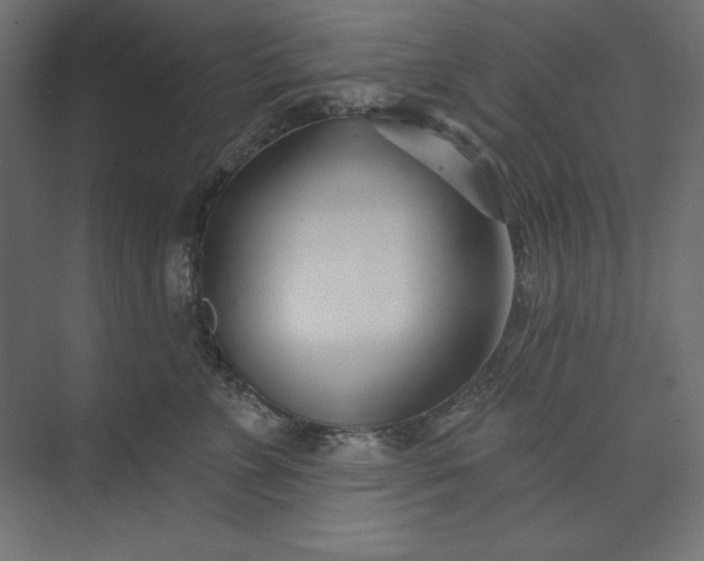 X0000073910715200608251523