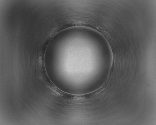 X0000073910716200608251523