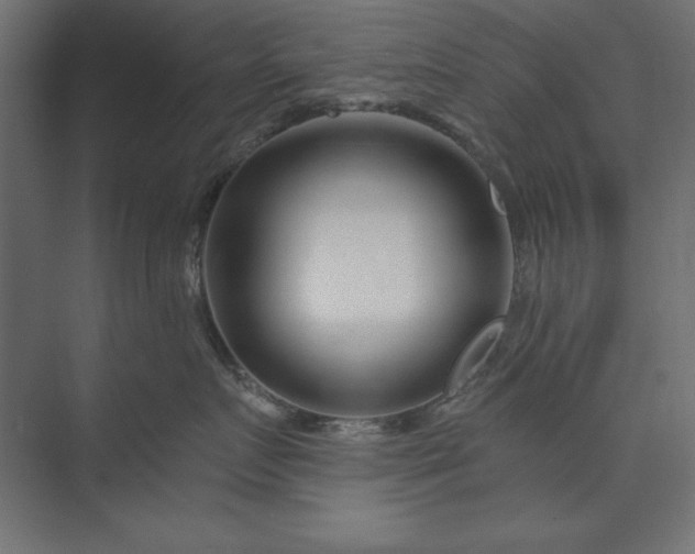 X0000073910719200608251523