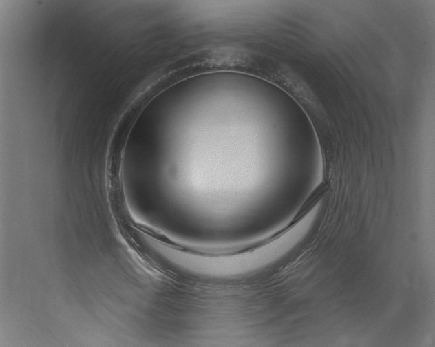 X0000073910722200608251522