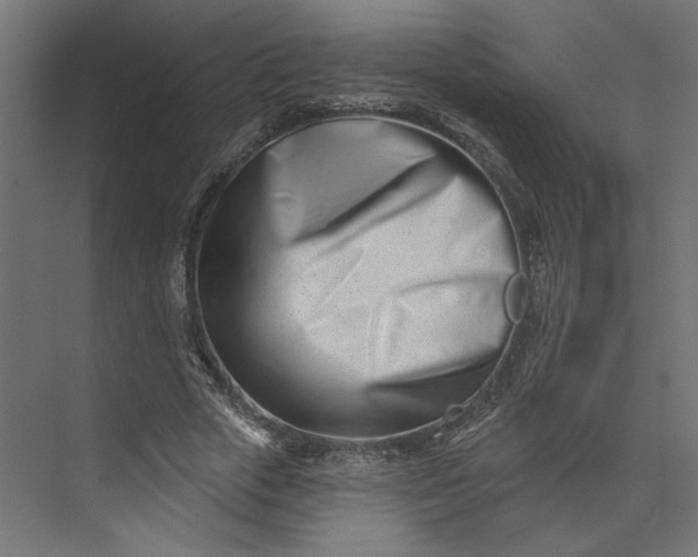 X0000073910729200608251522