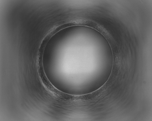 X0000073910730200608251523