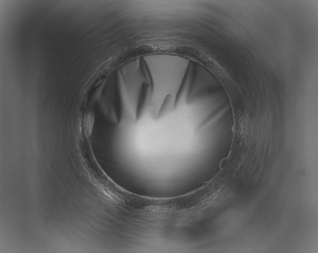 X0000073910733200608251523