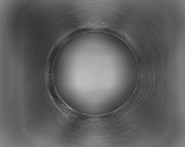 X0000073910736200608251523