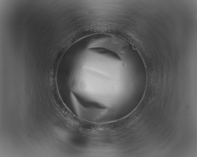 X0000073910737200608251523