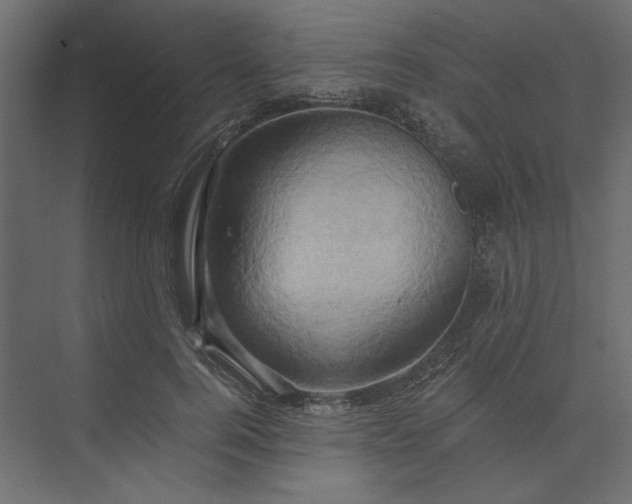 X0000073910744200608251523