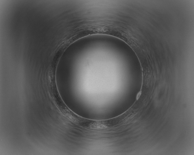 X0000073910747200608251523