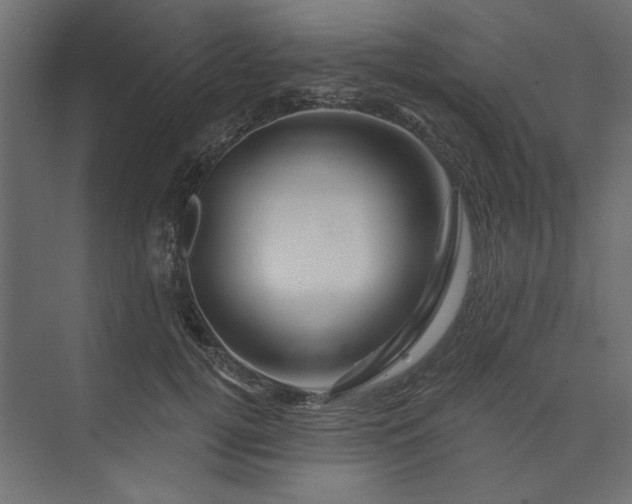 X0000073910752200608251523