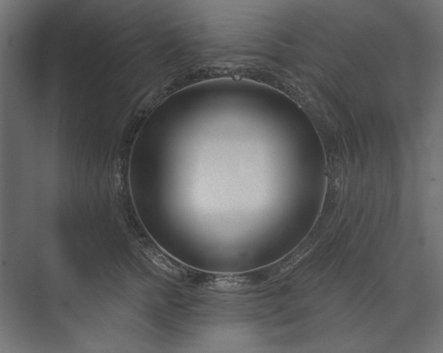 X0000073910758200608251523