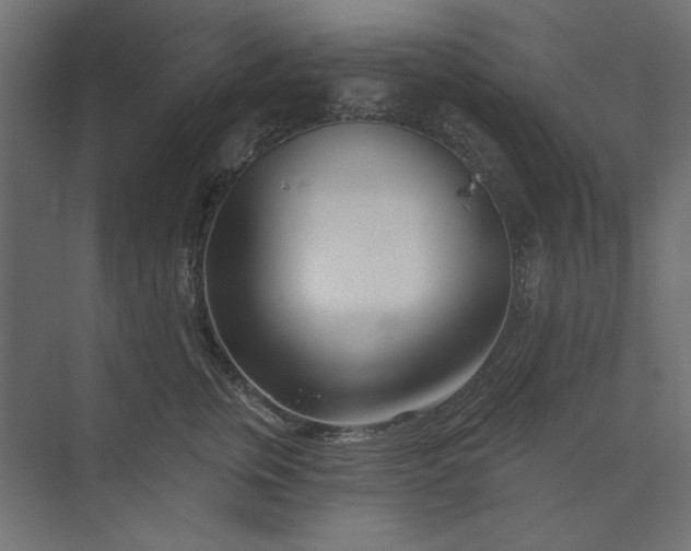 X0000073910759200608251523