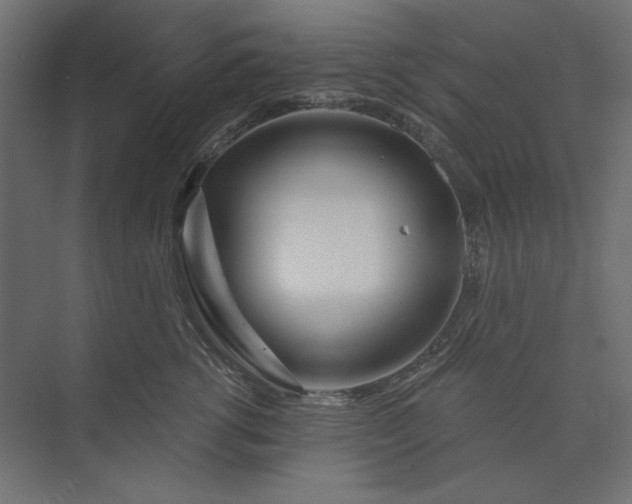 X0000073910762200608251523
