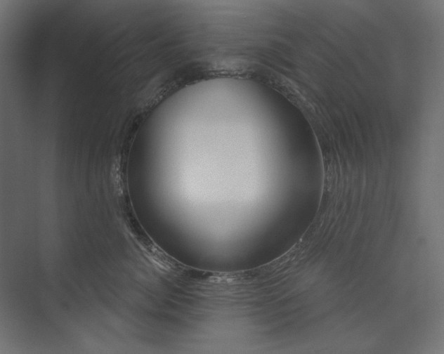 X0000073910764200608251523
