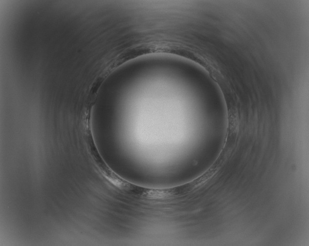 X0000073910766200608251523