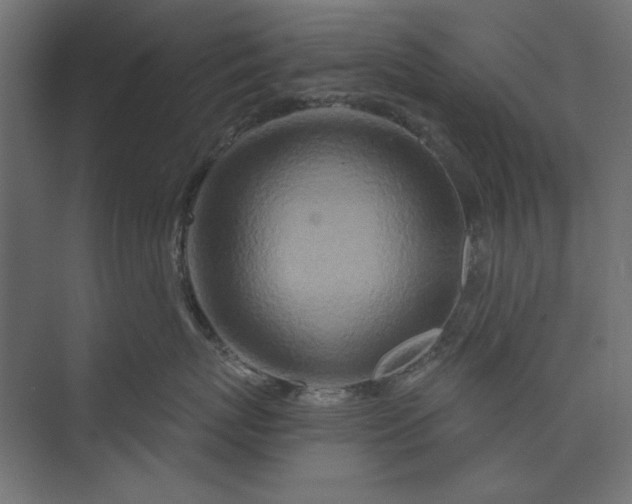 X0000073910767200608251523