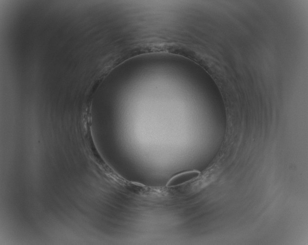 X0000073910768200608251523