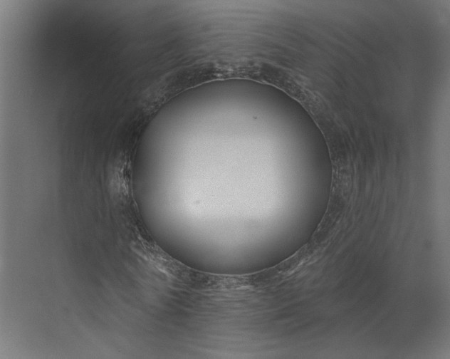X0000073910770200608251522